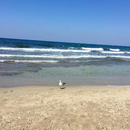 Charming House In With Mountain View *
