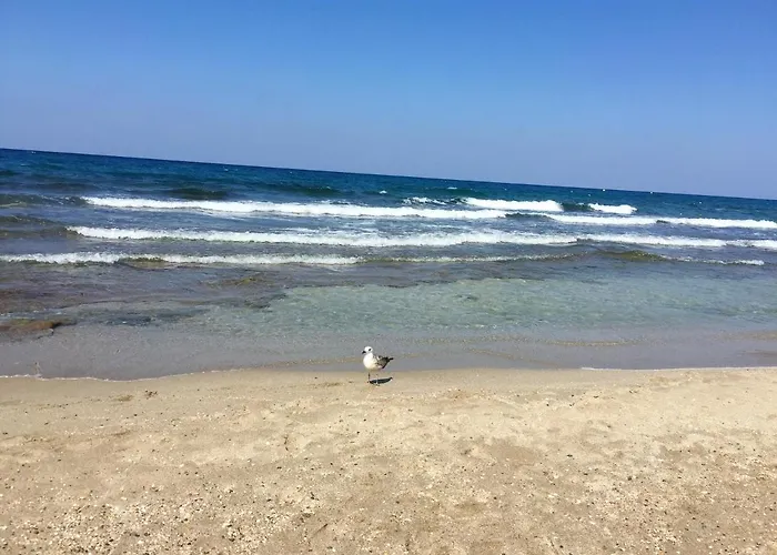 Charming House In With Mountain View *
